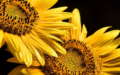 中国电信云主机价格-VPS联盟