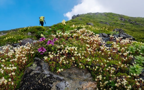 中金 服务器-VPS联盟