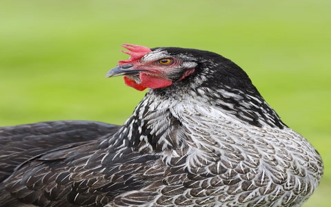 怎么重启服务器-VPS联盟