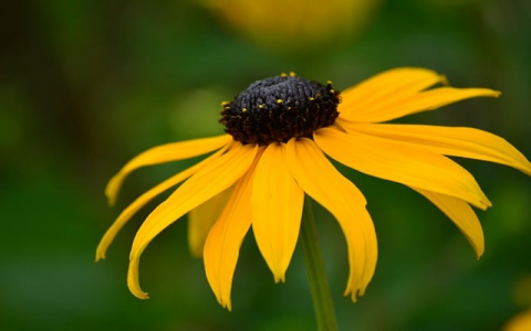 怎么重新部署服务器-VPS联盟