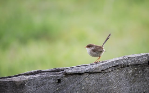 怎么看网站空间大小-VPS联盟