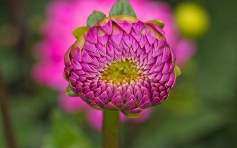 中国联通湖南长沙云数据中心项目-VPS联盟