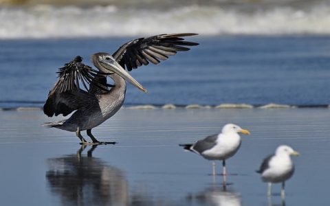 长沙数据-VPS联盟