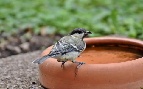 郑州网络服务器-VPS联盟