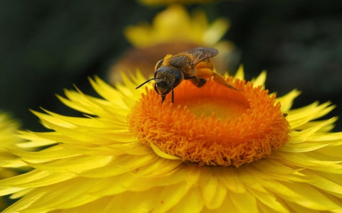 怎么入侵服务器-VPS联盟