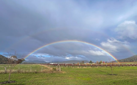中国移动增强服务器-VPS联盟