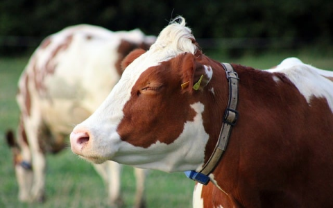 支持ipv6 vps-VPS联盟