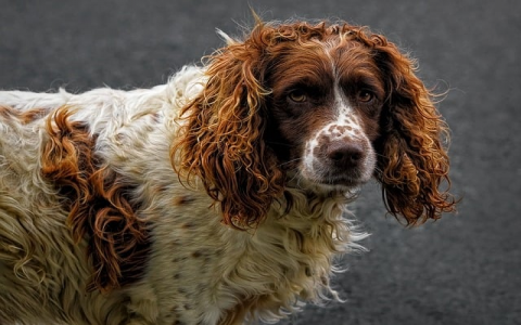 支持ftp的云空间-VPS联盟