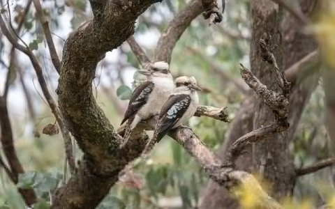 怎么上我的虚拟主机-VPS联盟