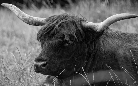 中国电信西二旗机房-VPS联盟