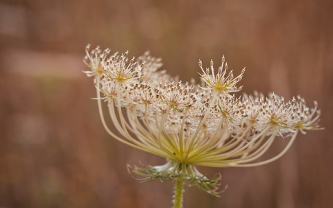 中国名创服务器怎么样-VPS联盟