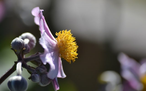 浙江云服务器租用-VPS联盟