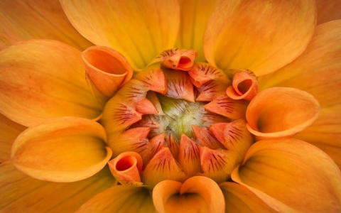 中国免费空间-VPS联盟