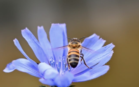 浙江服务器-VPS联盟