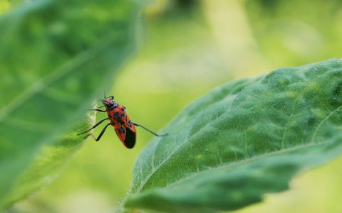 郑州云计算服务器-VPS联盟