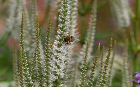 中科云 主机-VPS联盟