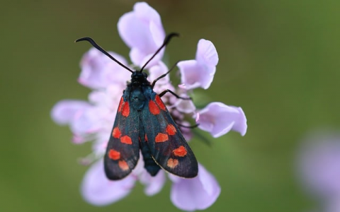 中国无忧空间怎么样-VPS联盟