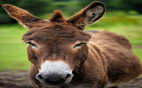 浙江稳定的电信服务器-VPS联盟