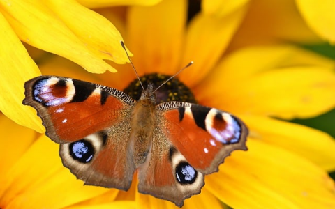 怎样开启云服务器-VPS联盟