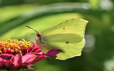 怎么销售虚拟主机-VPS联盟