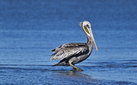 怎么上扣扣空间里的沃邮箱-VPS联盟