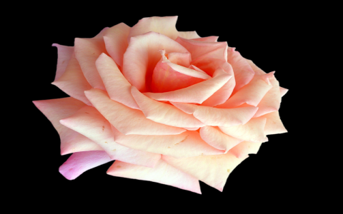 中国域名价格排行-VPS联盟