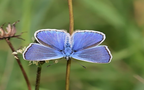 中文 域名的网站-VPS联盟