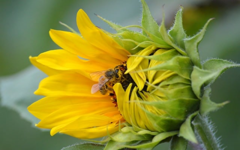 怎么连接到远程服务器-VPS联盟