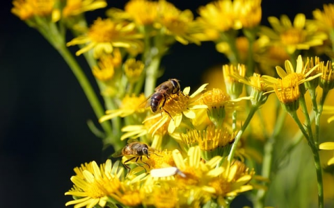 整体机房一线品牌-VPS联盟