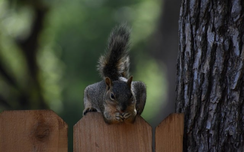 中国电信新建数据中心-VPS联盟