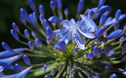 浙江服务器托管cc-VPS联盟