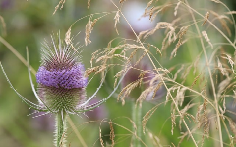 怎么做网站数据库-VPS联盟