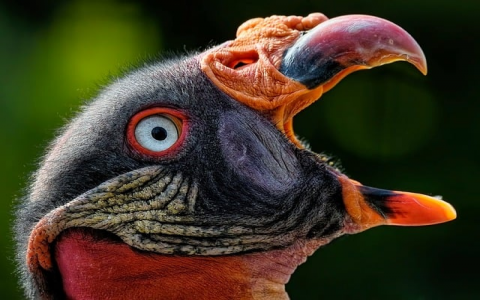 中国移动数据机房 设计规范-VPS联盟