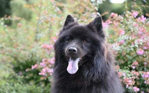 郑州服务器-VPS联盟