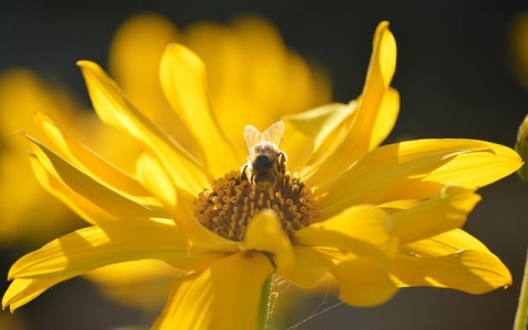 整机柜服务器特点-VPS联盟