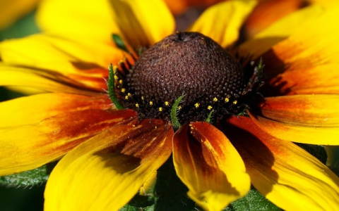 浙江乡镇5年服务器-VPS联盟