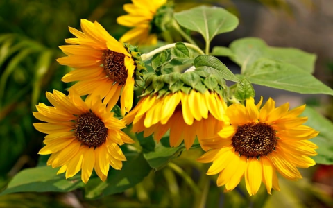 镇江高防服务器在哪里-VPS联盟