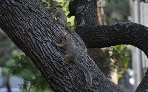 云主机要实名吗-VPS联盟