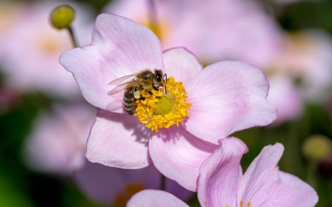 云主机开传奇-VPS联盟