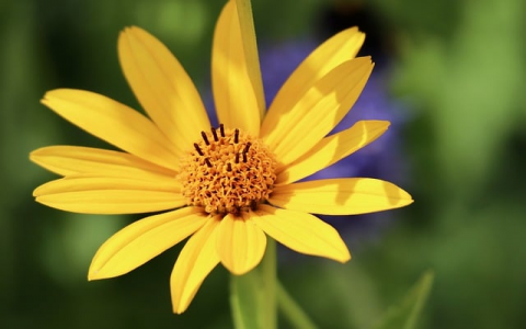 云主机计费-VPS联盟