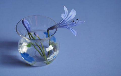 云主机与idc-VPS联盟