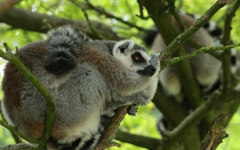 云主机可提供的服务-VPS联盟