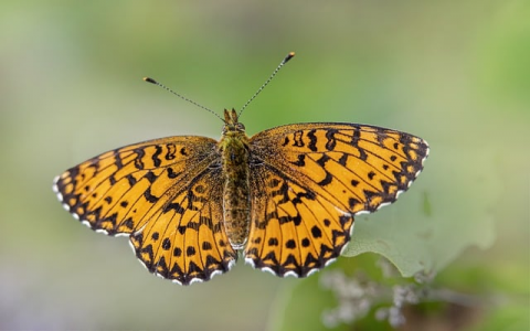 云主机怎么做服务器用-VPS联盟