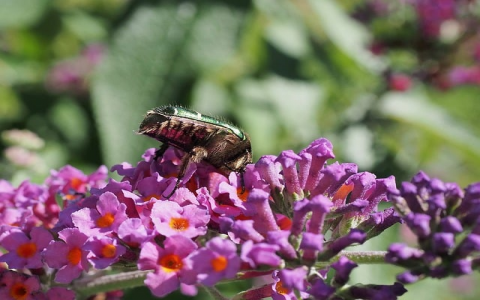 云主机免费体验半年-VPS联盟