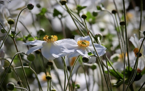 云主机可以远程-VPS联盟