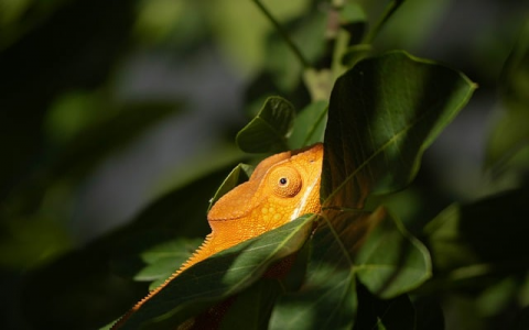 云主机直接ip访问-VPS联盟