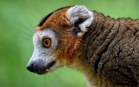 云主机哪家好-VPS联盟