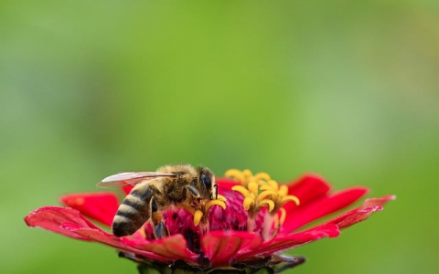 在万网买了域名和空间吗-VPS联盟