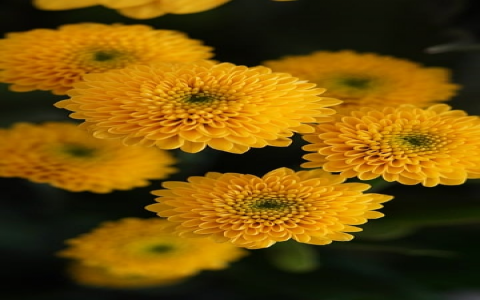 云主机换ip-VPS联盟