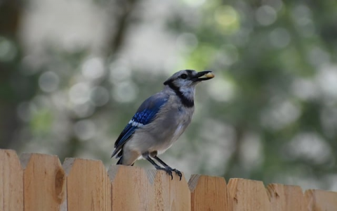 云主机连接手机电脑-VPS联盟